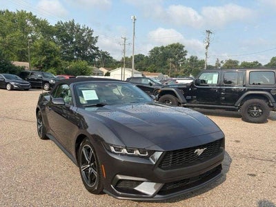 2024 Ford Mustang EcoBoost Premium Convertible