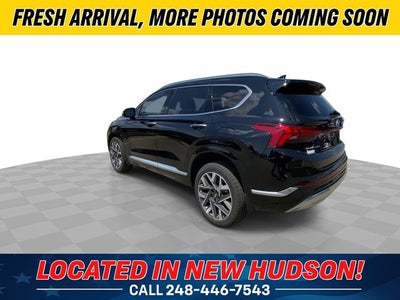 2023 Hyundai SANTA FE Calligraphy