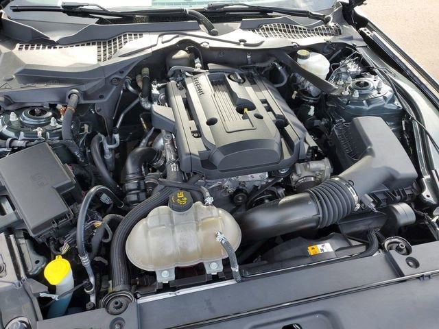 2015 Ford Mustang EcoBoost