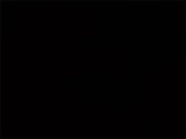 2026 Hyundai IONIQ 9 Performance Calligraphy