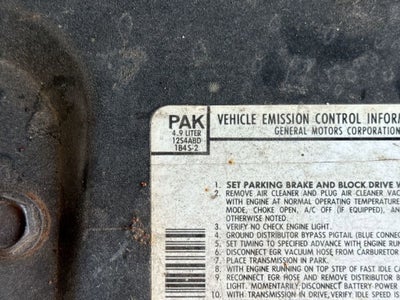 1981 Pontiac Firebird SE