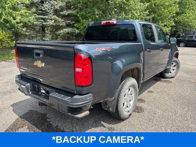 2019 Chevrolet Colorado 4WD Work Truck