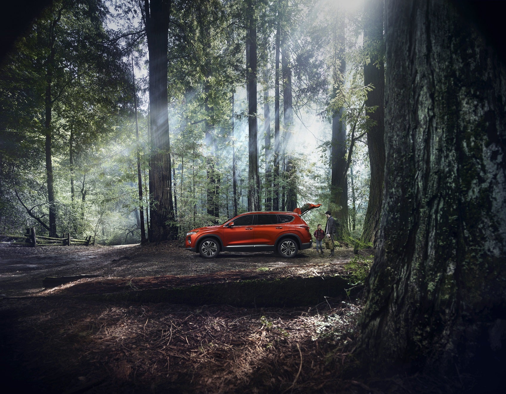 Used Car Dealer West Bloomfield Township MI
