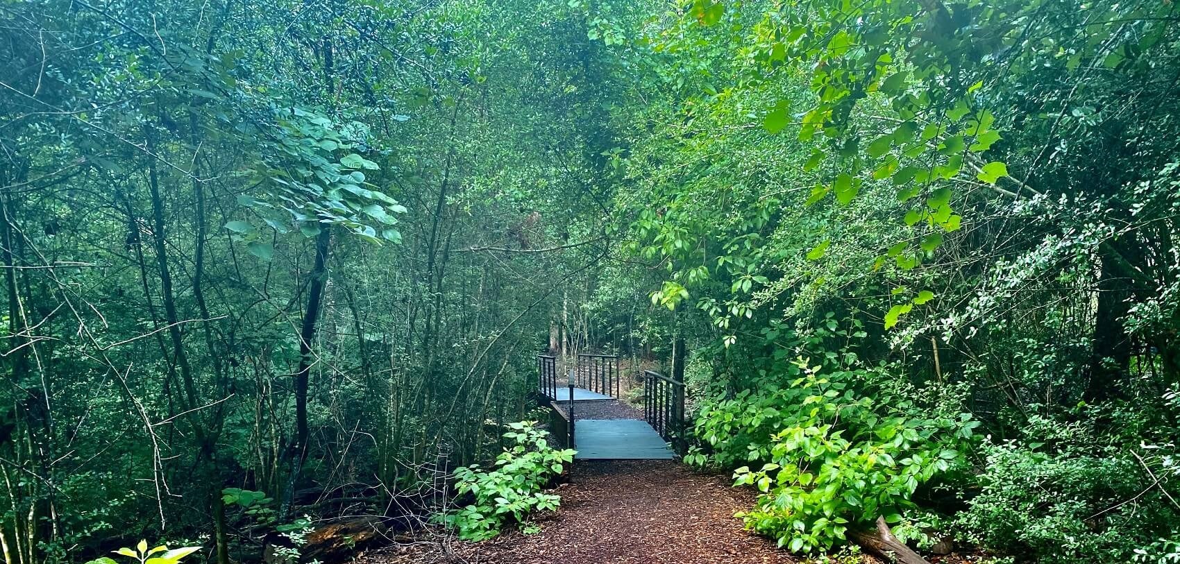 Lease a Hyundai near Milford Charter Township MI
